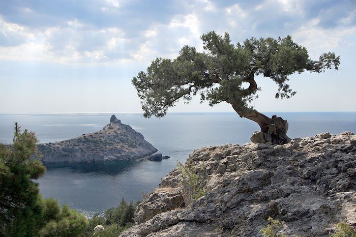 ������������ �������� ������������ �������� ���������� ���� ������ ���������� � ���� �������� ������ ���������� ���������