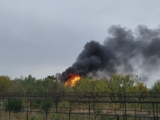 � ��� �������� ������� ����� ���������������