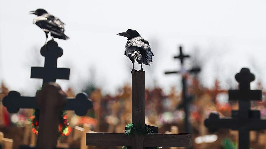 � ��� �������, ��� ���������� ������� �� �������� ���� �����������