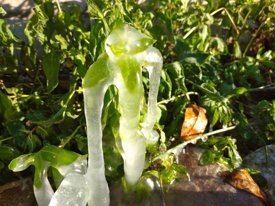 � �������� ����� ������� ���������