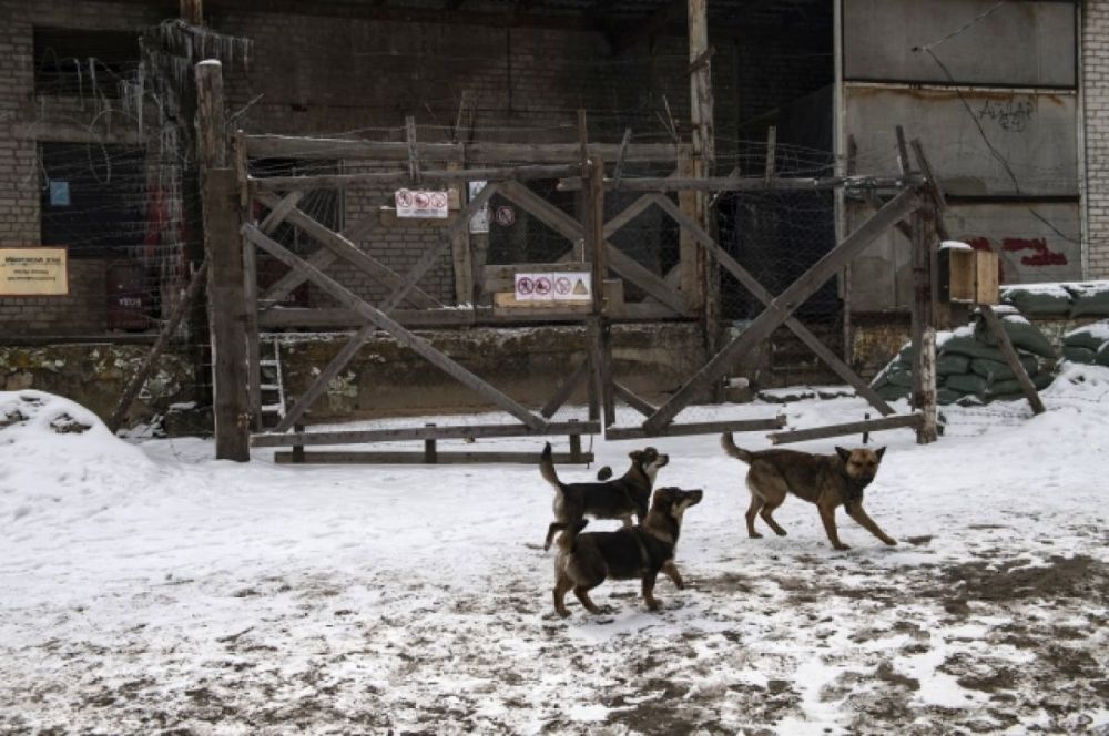 ���-������ �������*: ��������� �������� � ������ �� ��������� �� ��������