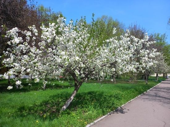 � ������� ��������� ������� ��� ������