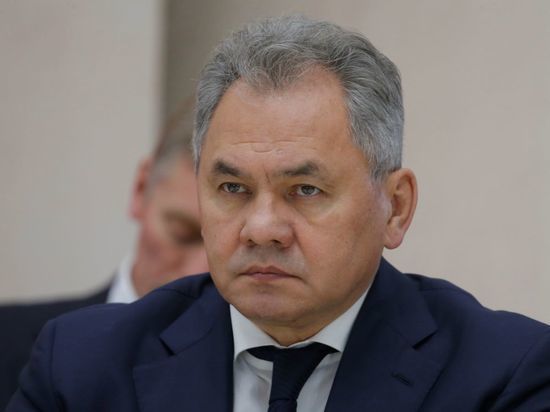 Шойгу заявил, что российские военные контролируют Мариуполь