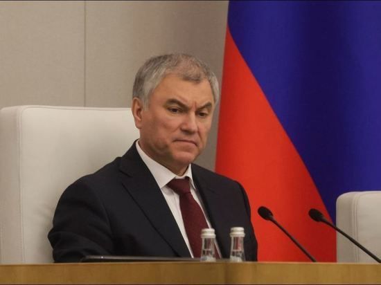 Володин назвал условием безопасности России безъядерный и внеблоковый статус Украины