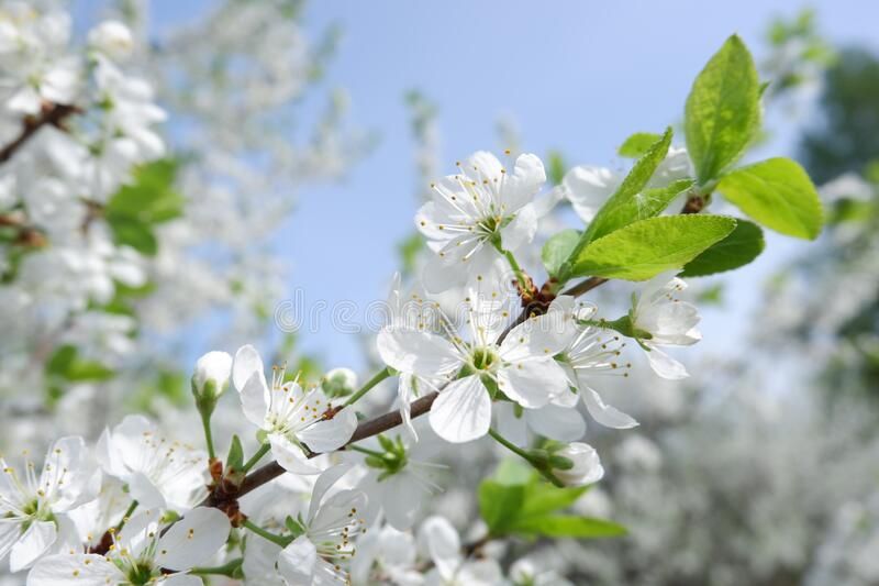 ��������� ������������ �� 18 �������� ����� � �������� 7 ���