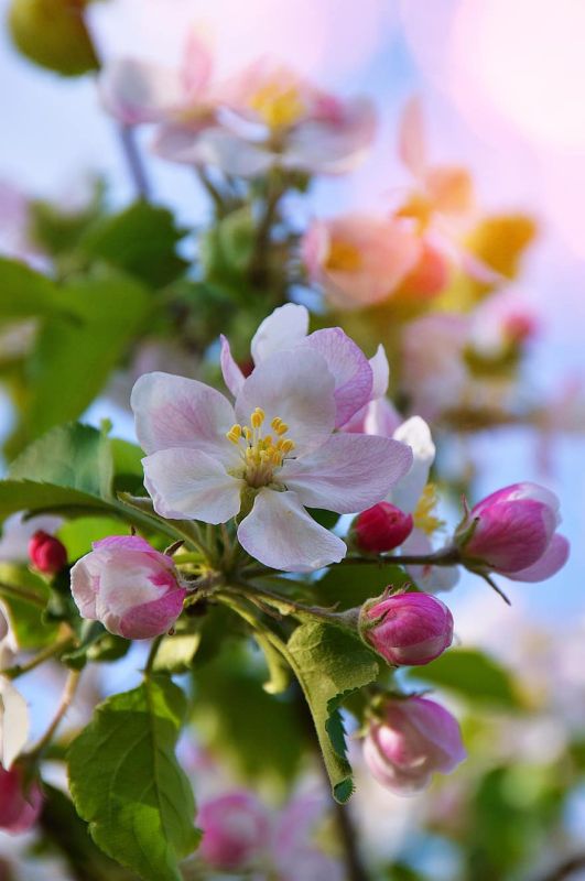 ��������� ������������ �� 19 �������� ����� � �������� 8 ���