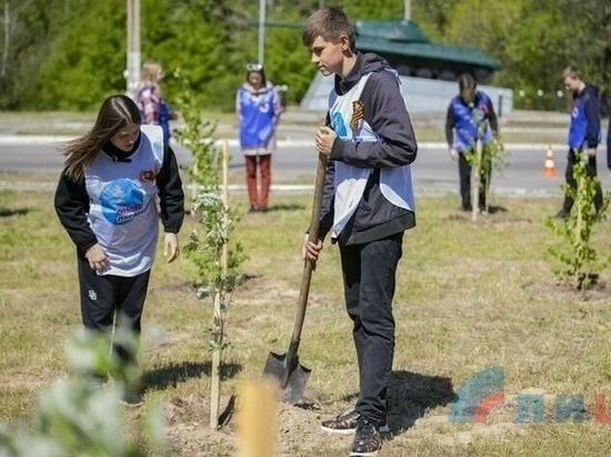 � ������� ��������� ��������� ����� ������: ����