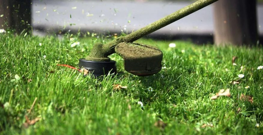 ������������� �������� ����� ����� ����� ������� �����