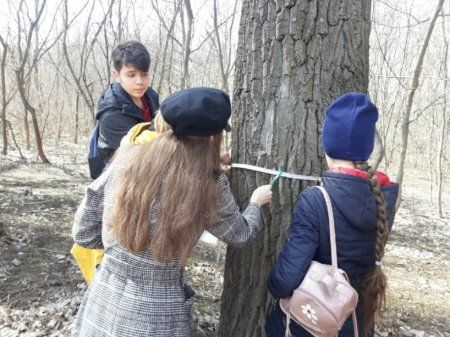 ���� ������� ��������� �������� ���������� �������� ������ ���������� ����� �� ������������� �������� �������� �� �����