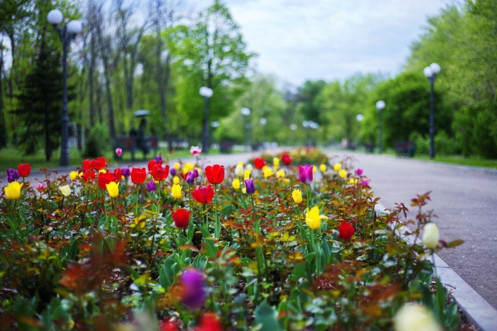 ����������� �� 21?� ��������� ������ ���� � ��������