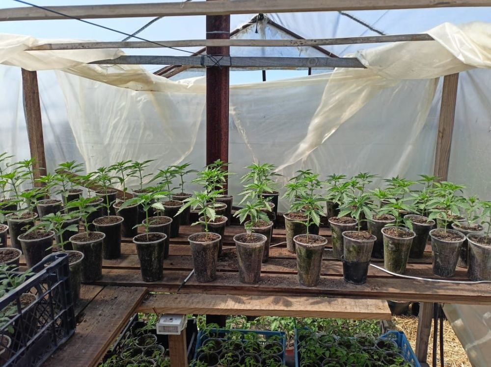 ������������ ����� ��� ��� � �. ������� ���������� � ������ ������������� ��������