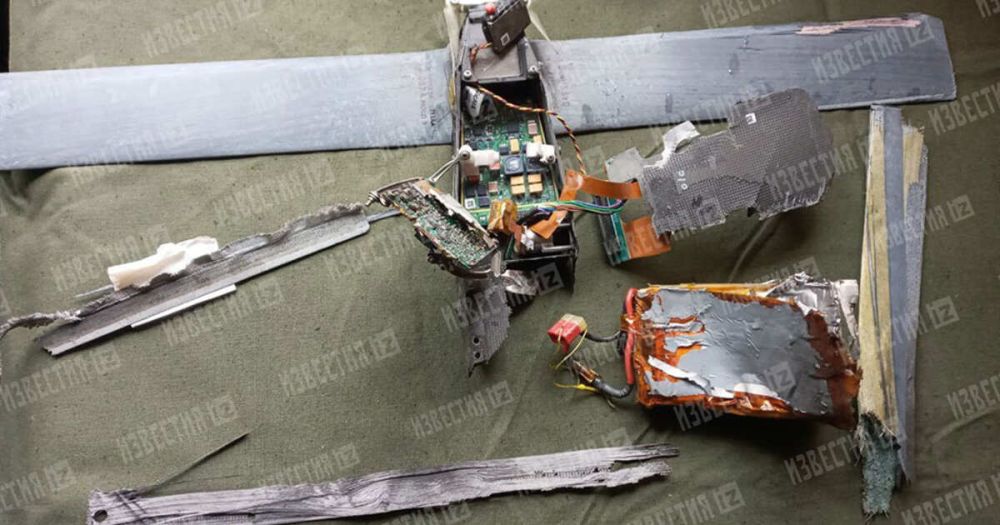 �������� ������������ �����������-��������� ����� � ��������