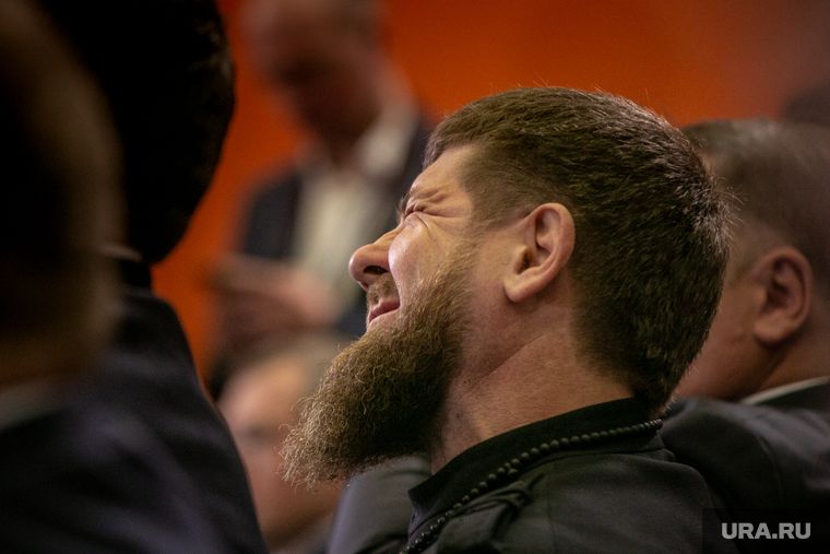 ������� ������� &laquo;������������� �������&raquo; ���������� �������������