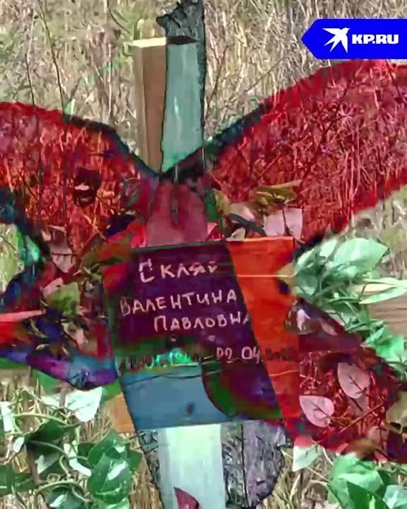 - ��, ����, ��� ���� �����