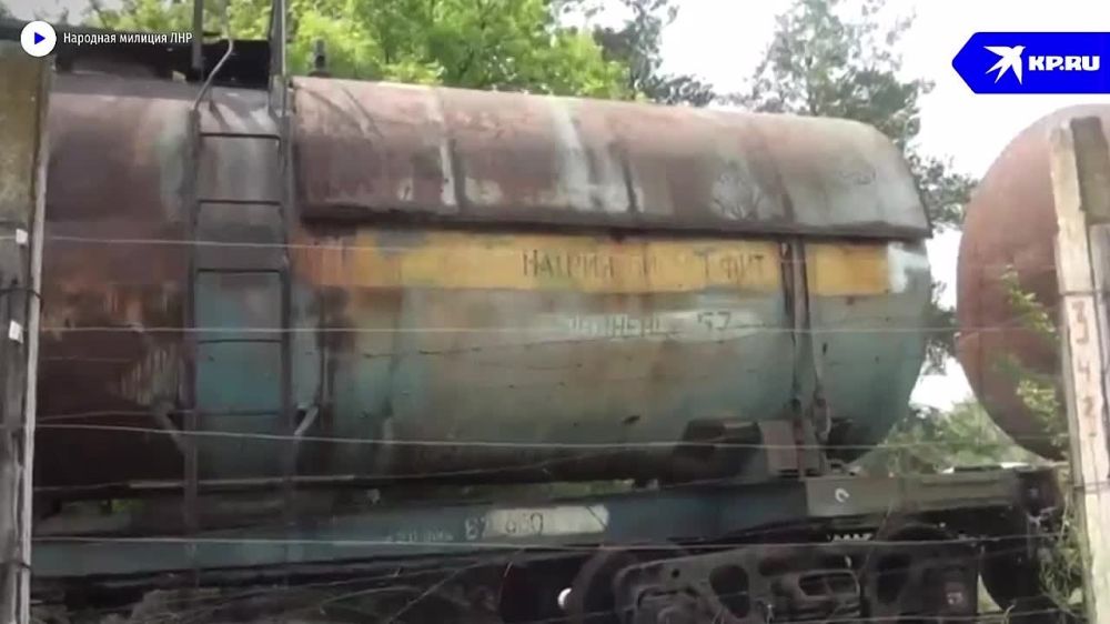 �������� � ��������� �������, �������� ����� ���������� ��������� ������� "��������� �����", ����������� �� ��������� "����" � ������ �������� 49 ���� ����������