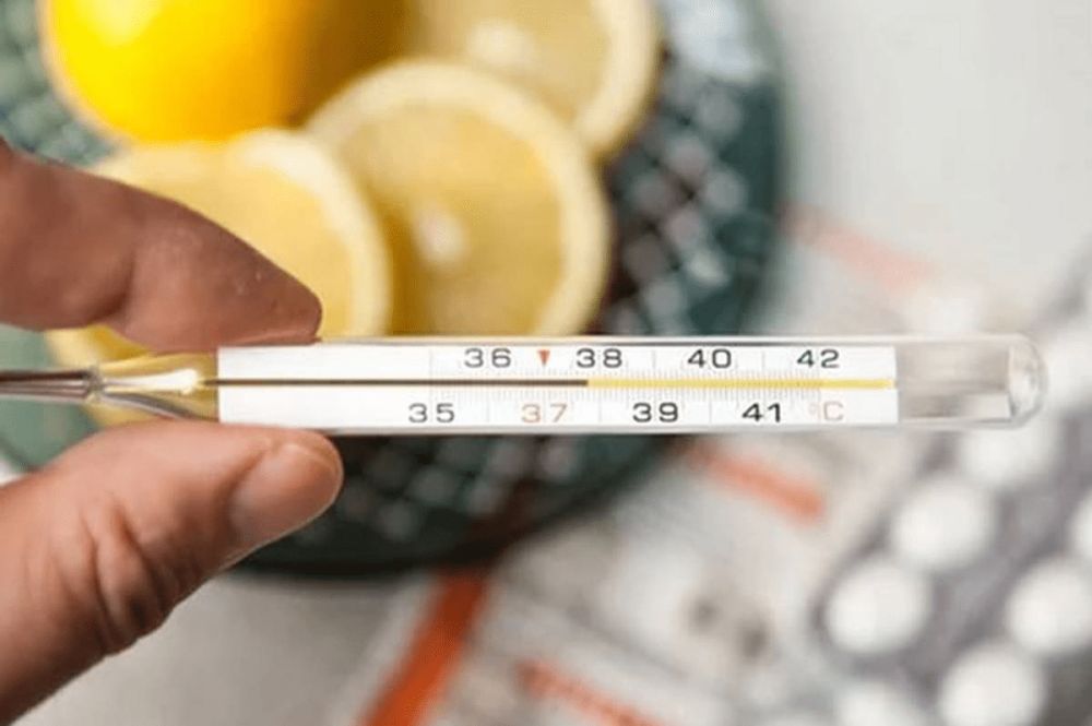 ������� �������������� ���� � �������� �� 24% ���� ����������