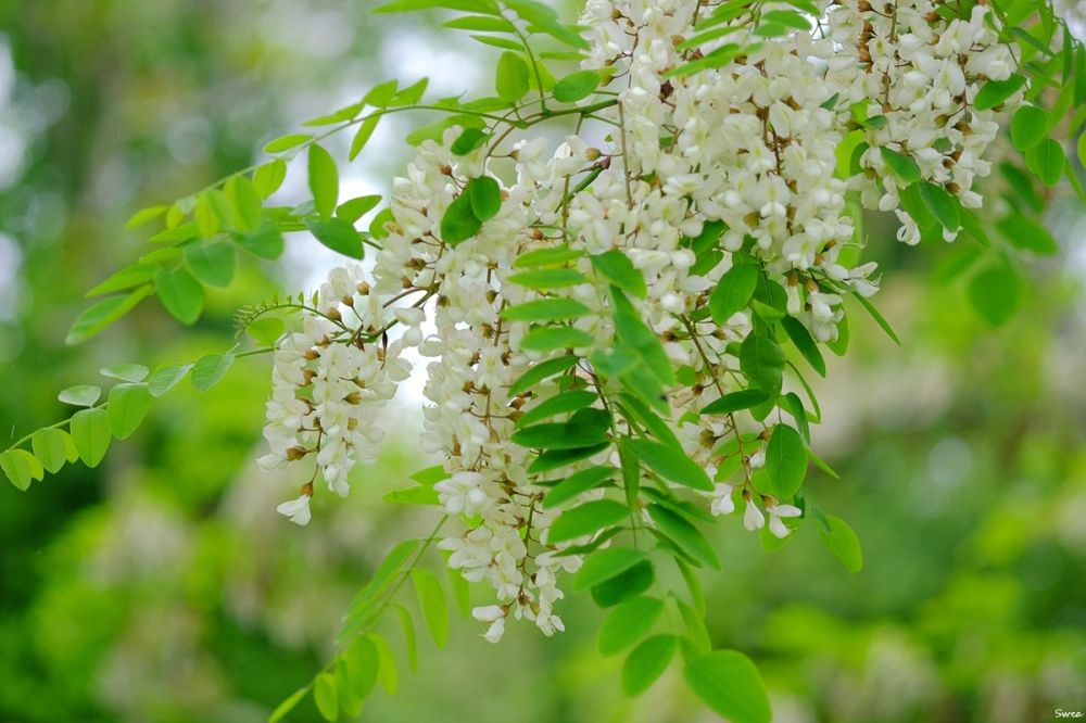 ����� ����� ���������� ���������� �� ��������� � ���