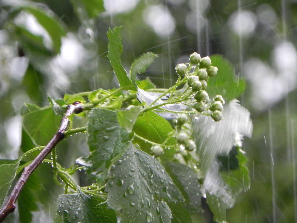 ����� ��������� � �������� ������ ����