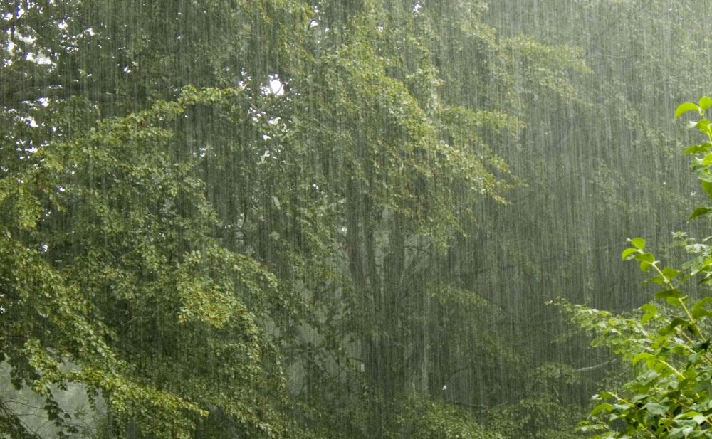 ��������� ������������� � ������� ����� � ������� ������� �������