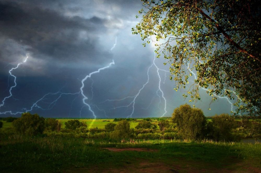 ��������� ������������ ����� ������� � ��������