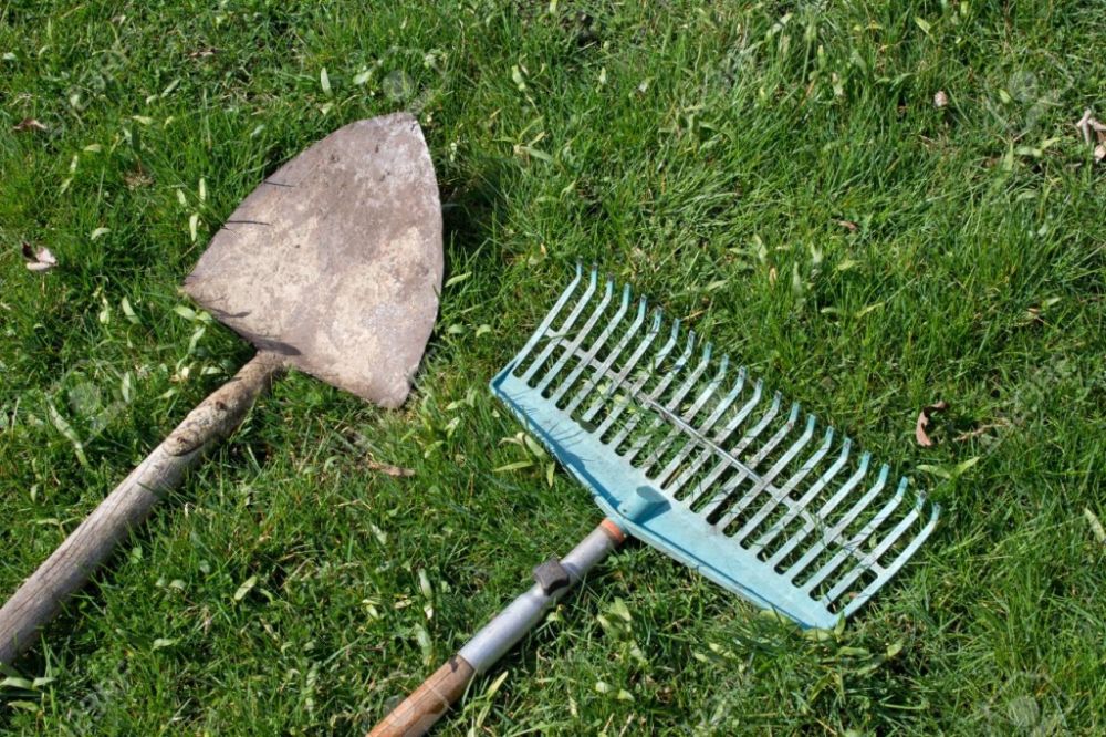 ������������� ������ ���������� �� ��������� 21 ���