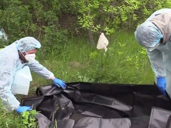 ���������� ������������� ��������� � ����� ��� �������� �����������