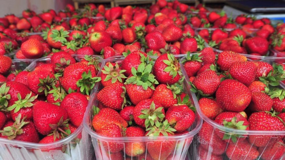 � ���� ������� ������� ��������