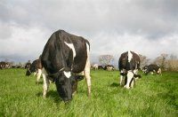 ���������� ������ - ���� �� ������������� ������ � ������ ������� ��������������