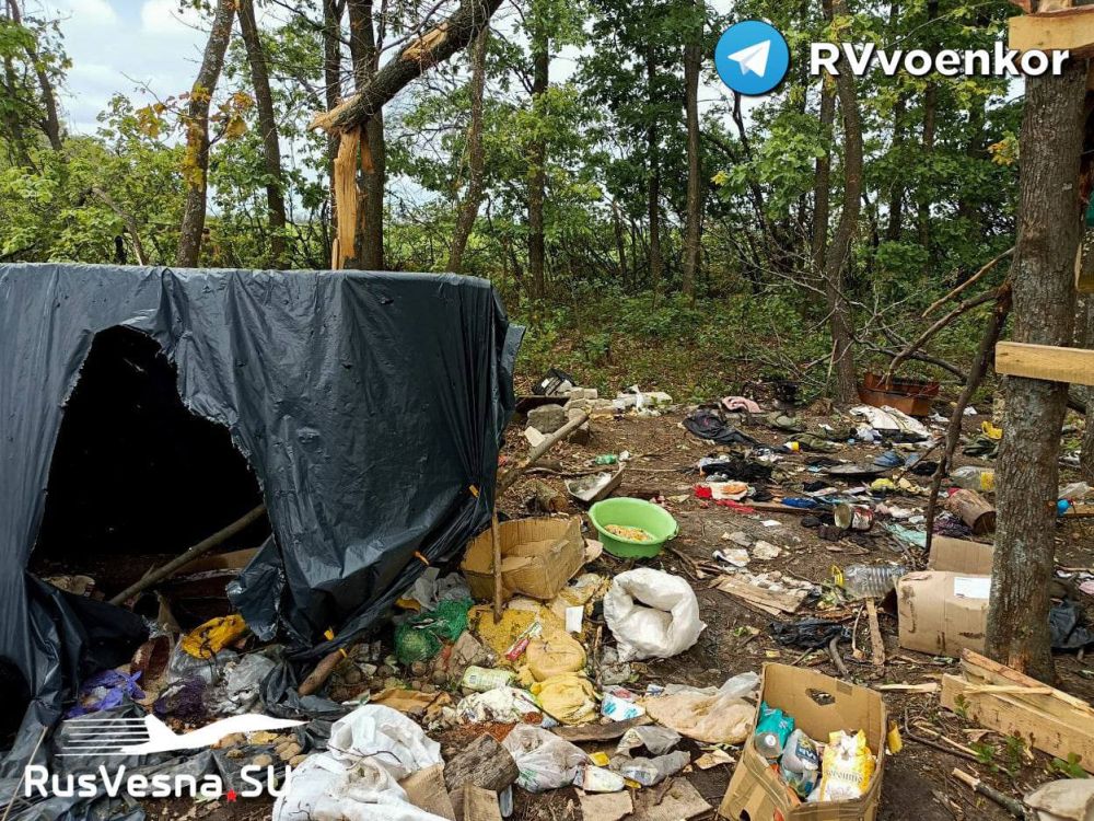 � ��� ������ ��������