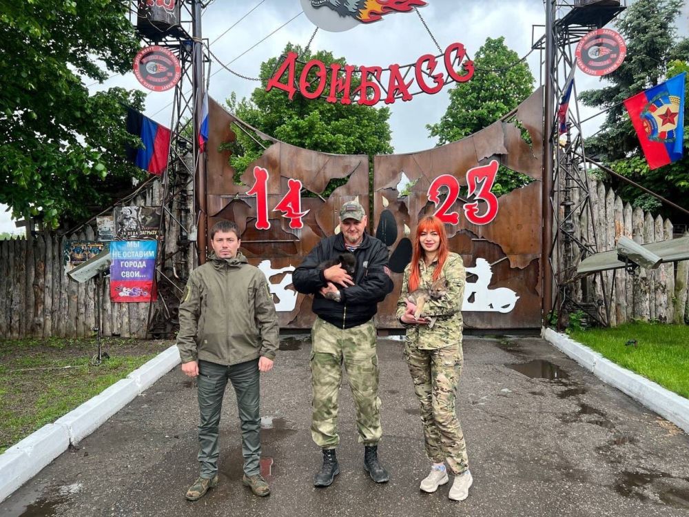 ��������� ����������� �������� ��������� ������� ����� ����� ������