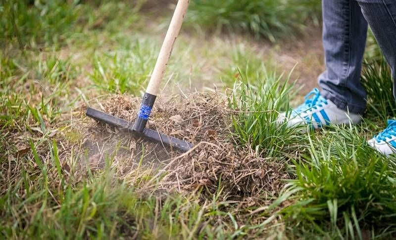 ������������� �������� ����������� � �������� �������������� ���������� �� 27 ���