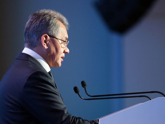 Шойгу рассказал, что силы России, ДНР и ЛНР расширяют контроль над Донбассом