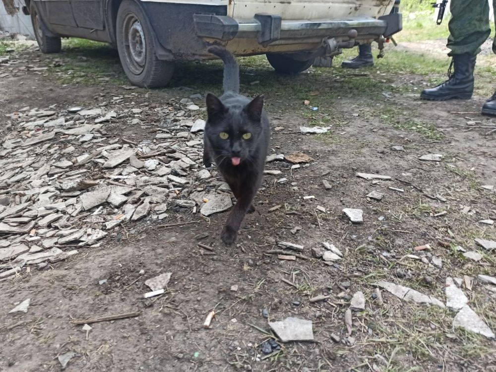 ����������, ������������� 4 ���. ��������� �������� ����������. ���� ������������, ��������� ��������������� �������������� ����?