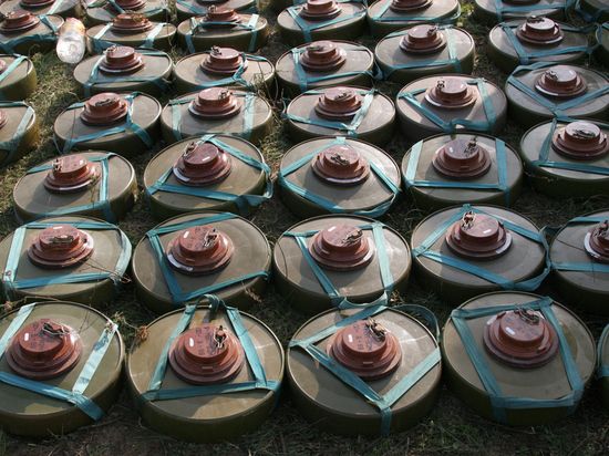 ���������� ������� ������������ ���� ����� ����������� � ��������������