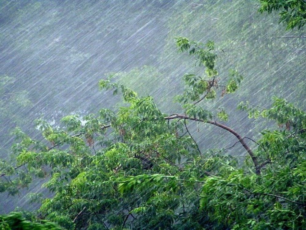 ��������� ������������� � ������ � �����