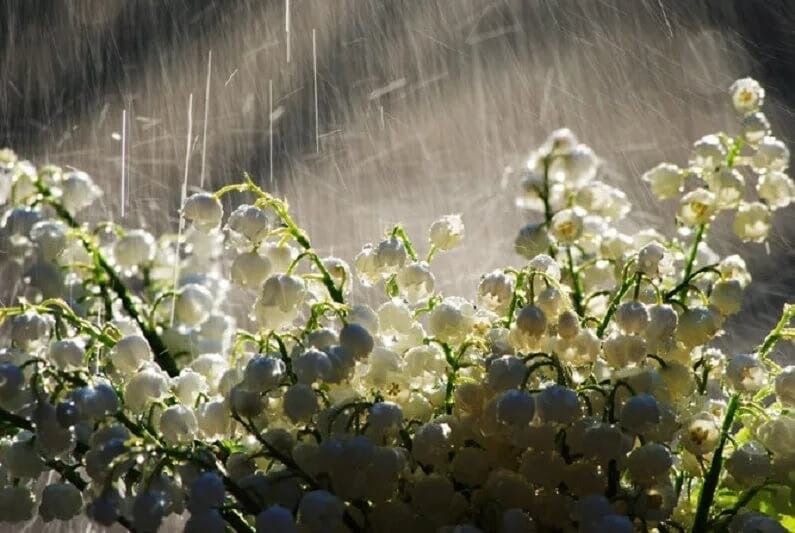 ��������������� ����� ��������� � �������� 22 ���