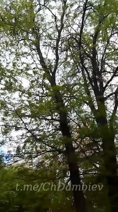 ���� ������ ���������� ��-52 "���������" � �����������-��������� �������� ��-8���� ��������� ������� ��� ������ � ���� ��������� �������� ����������