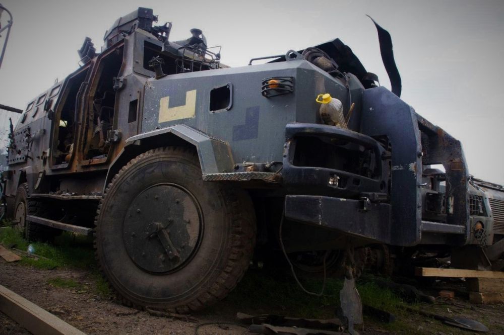 #����������Z����