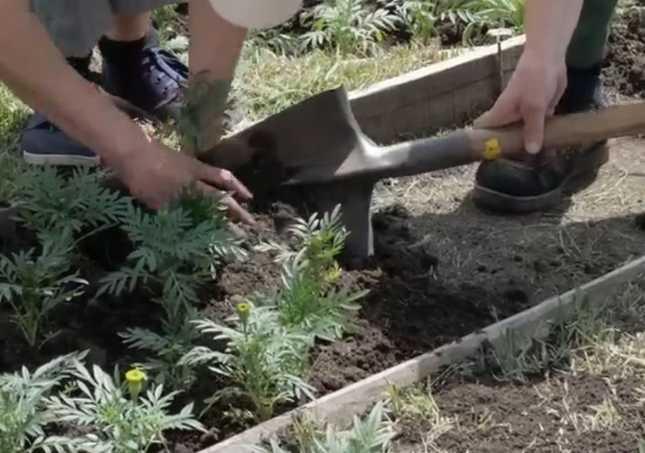 60 ����� ������ ��� �������� �� ��������� ������