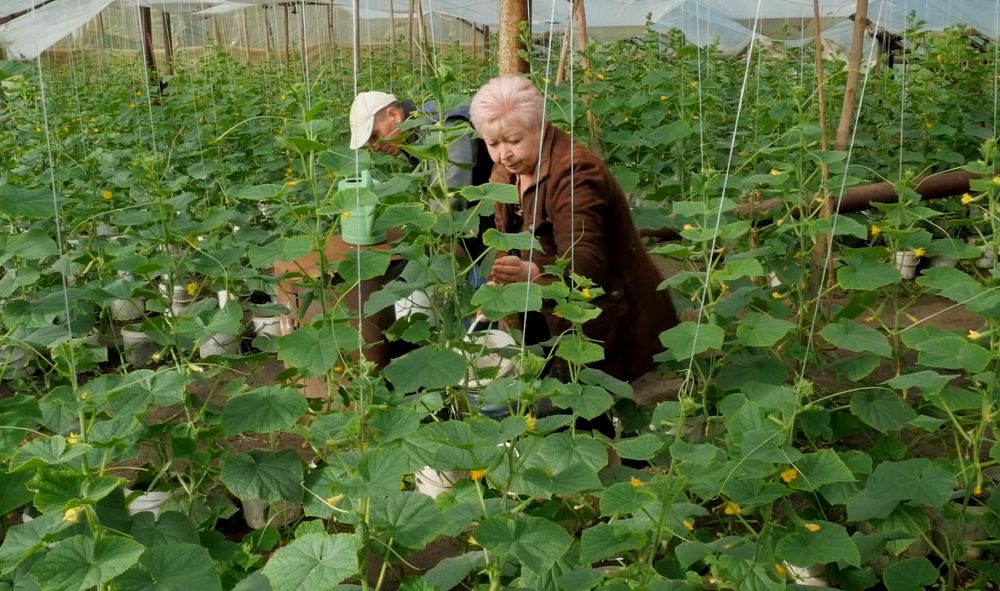 ��������� ������������� �� ��� �������� ����� 35 ����������� �������