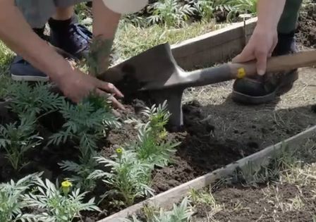 ������������� �� ����� �������� �� ������� �������� 60 ���. ���������� �������� � �����