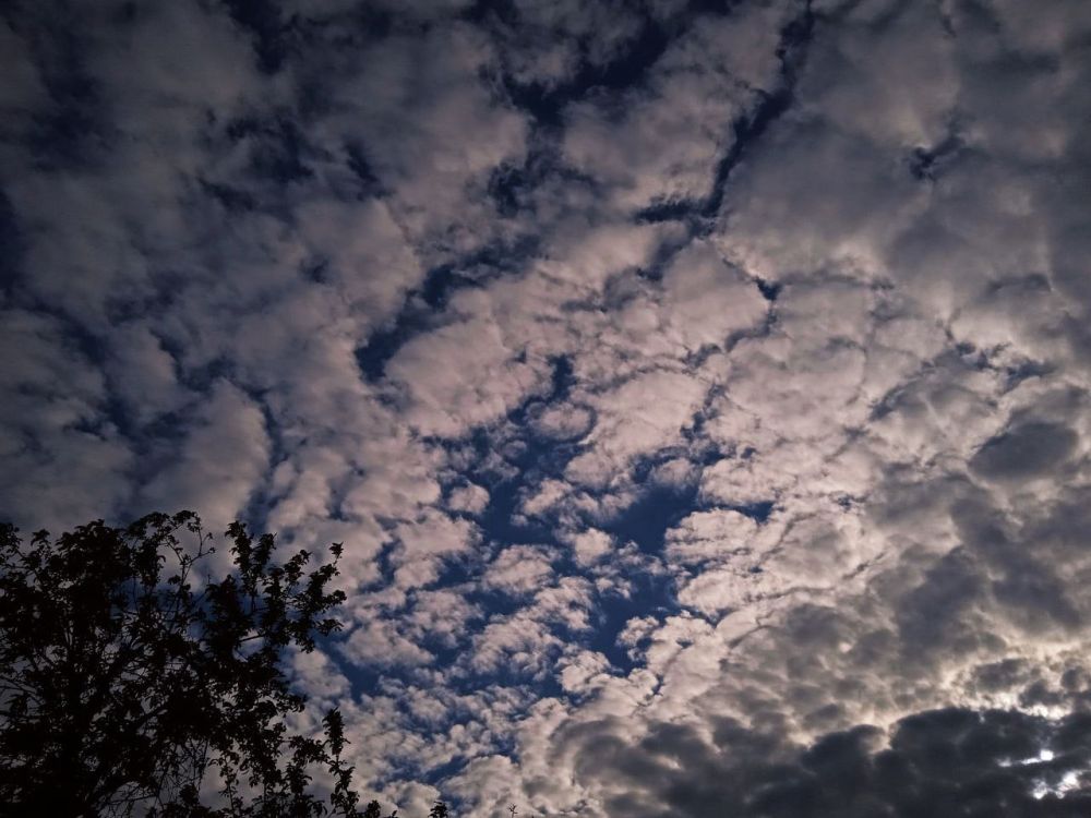 ���������� ���������� ��������� � �������� 25 ���