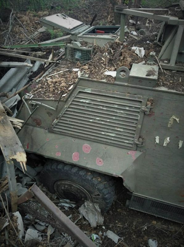 #����������Z����