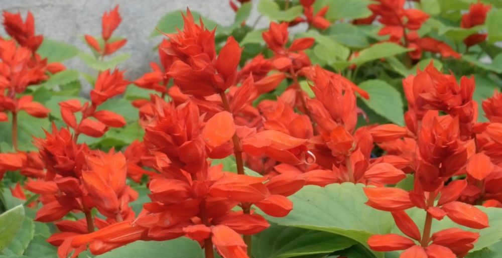 ������� 3 ����� ������-������������ �������� ��������� � �������