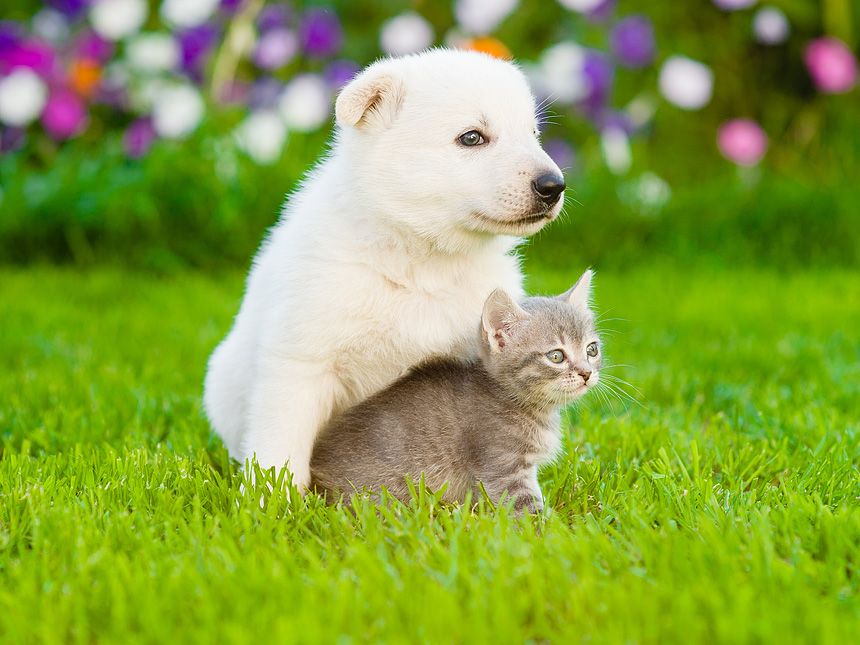 ��������� ���������� � ������� ����������� �������� ��������