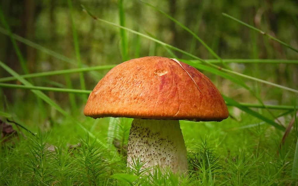 ��������� ���������� �� ��������� ���������� �������