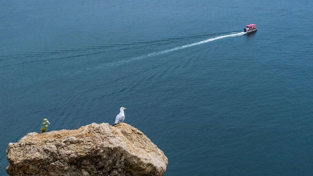 Украина навсегда потеряла выход к Азовскому морю – власти Запорожья