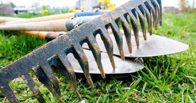 ����� 500 �������� ������������� � ���� �������������� ����������