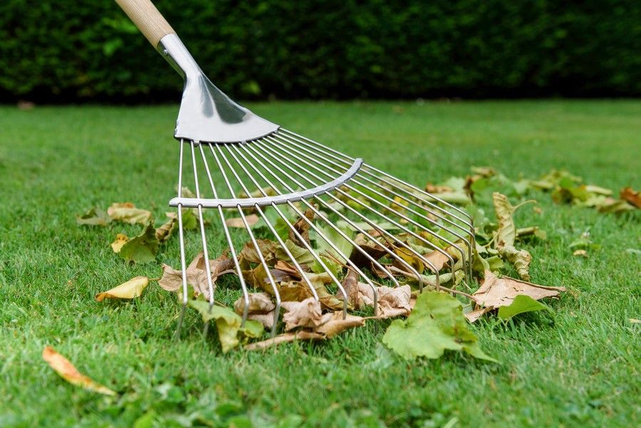 ������������� �� ������ ����� ����� 3 ����� ����� ����� � ������