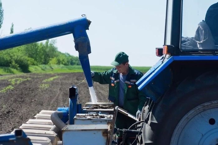 ������� ����������� "����" � ������� ���������� ��������-���������� ������ ������� ��������� �������� �������� 2022 ����